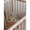 myhummy teddy beige app6