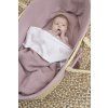 2106 2 resize of lilac 2265 50952947736 o