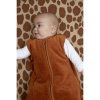 2274 2 camel