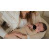 lodger 65308 birch2