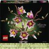 Vetvičky magnólie