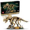 Dinosaurie fosílie: Triceratops