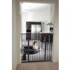 14834 2 50916 20premier 20pet 20gate 20ppg 20black 20in 20black 20kitchen 1