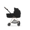 Cybex MIOS športový kočík Spring Blossom light farba rámu:chrome/black