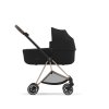 Cybex MIOS športový kočík Spring Blossom dark farba rámu:matt black
