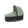 oyster3 hluboka korba spearmint 2024