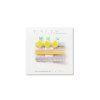 set mit 3 haarspangen lemon 379111