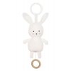 n0136 musical bunny
