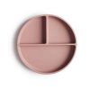 3 Silicone plate cloudy BLUSH2 p