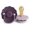 Violet Dream Soft Lilac Daisy twopack rubber 6 18 p
