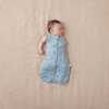 ERGOPOUCH Zavinovačka a vak na spanie 2v1 Cocoon Dragonflies 0-3 m, 3-6 kg, 2,5 tog