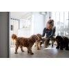 DogSpace Charlie extra vysoká predlžovacia brána 62-107cm, skrutkovacia, kov biela