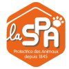 logo peluche spa 66d5b8286814e009085468