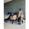 10353 7 fusak shine gold camel lahky