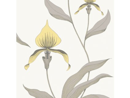 Tapeta ORCHID 10057, kolekce CONTEMPORARY RESTYLED