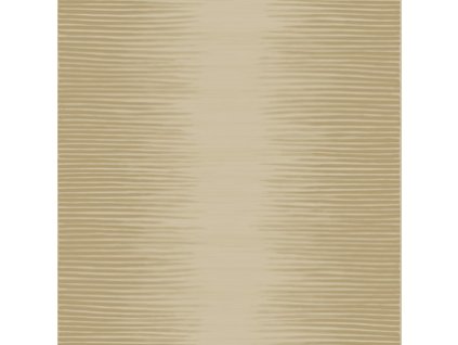 CS 107 3015