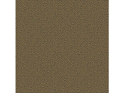CS 107 4020