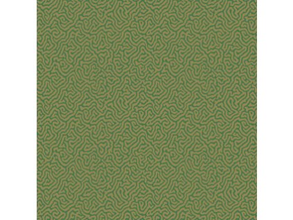 CS 107 4022