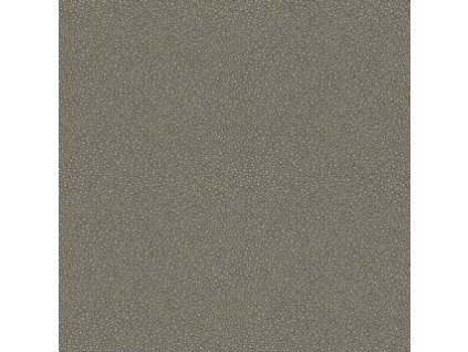 CS 107 9043