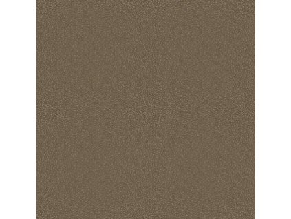 CS 107 9044