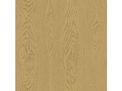 Tapeta WOOD GRAIN 5023, kolekce FOUNDATION