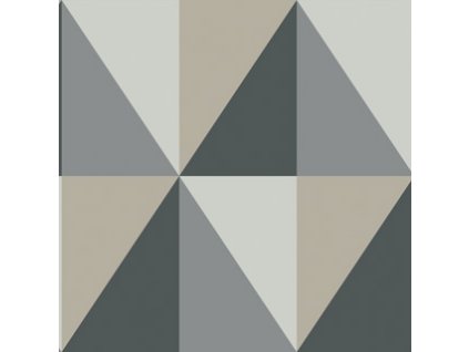 CS 105 10043
