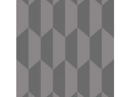 CS 105 12051