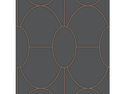 CS 105 6029