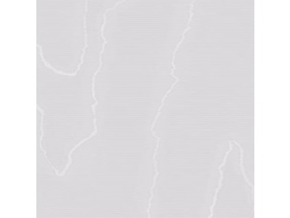 CS 106 1006