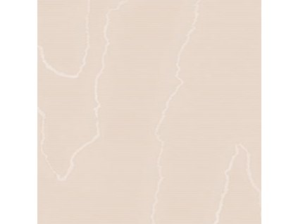 CS 106 1007