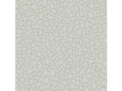 CS 106 2017