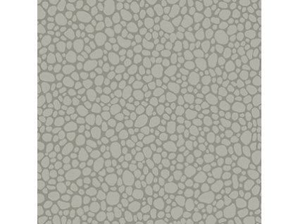 CS 106 2018