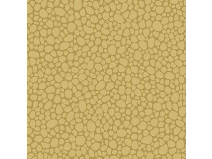 CS 106 2025