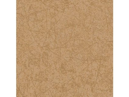 CS 106 4055