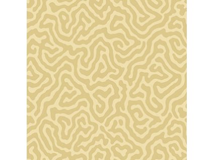 CS 106 5074