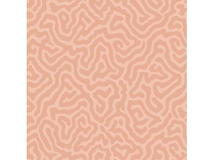 CS 106 5075