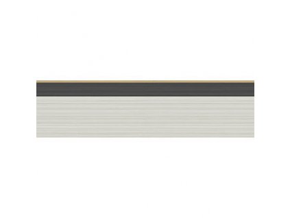 CS 110 10045