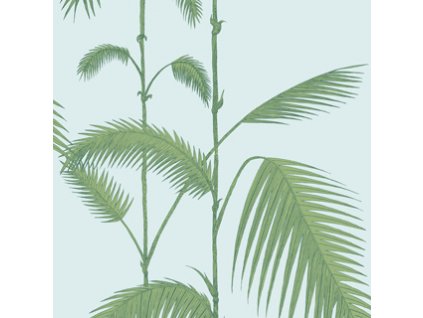 CS 66 2010