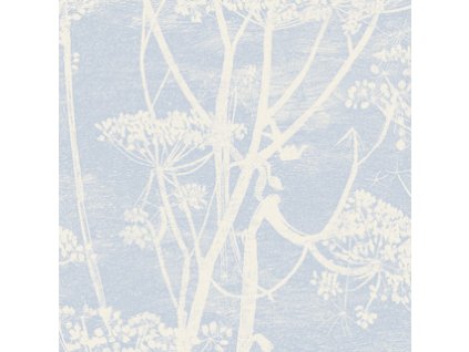 CS 66 7050