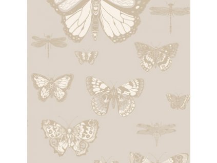 Tapeta BUTTERFLIES & DRAGONFLIES 15064, kolekce WHIMSICAL