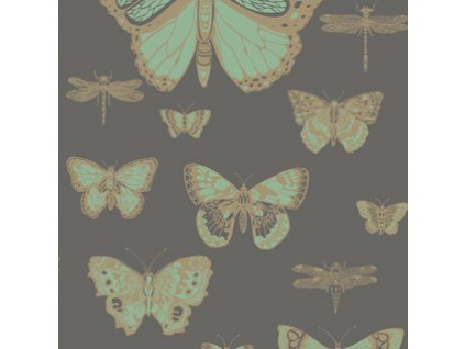 CS 103 15067