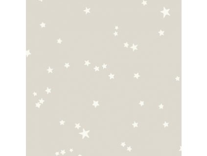 CS 103 3012