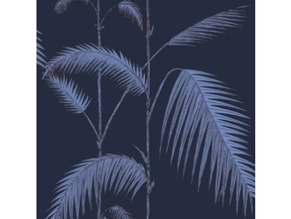 CS 112 2008