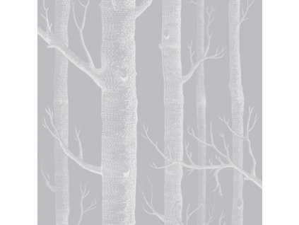 CS 112 3012