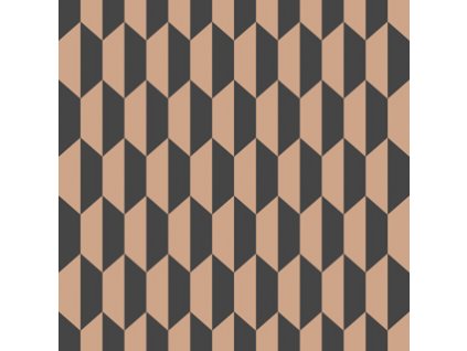 CS 112 5022