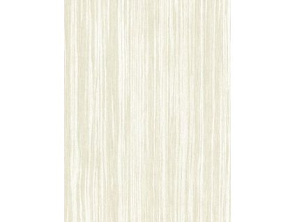 CW6002 04