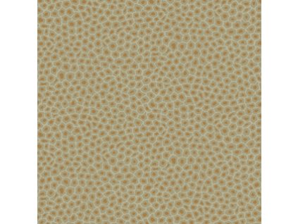 CS 109 6029