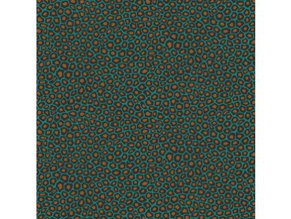 CS 109 6033
