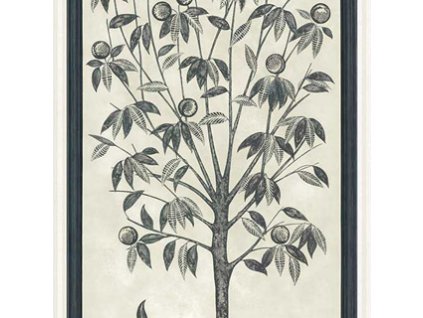 Tapeta TREES OF EDEN ETERNITY 14041, kolekce MARTYN LAWRENCE BULLARD