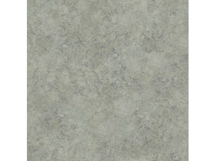 CS 113 9028